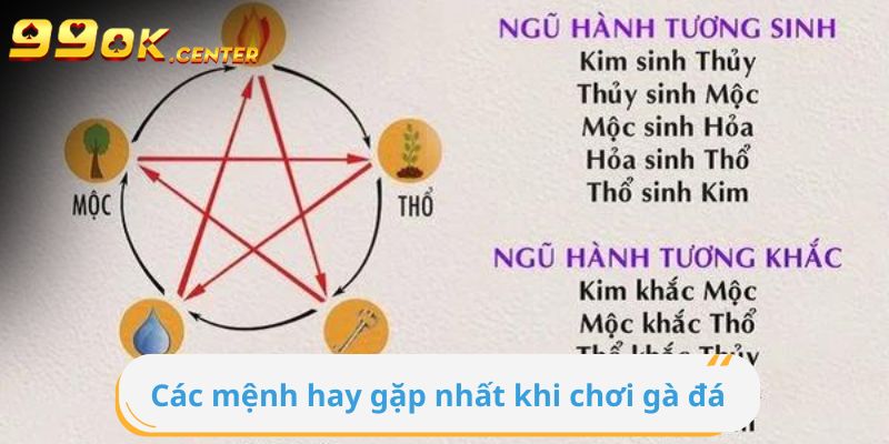 Các mệnh hay gặp nhất khi chơi gà đá nên biết