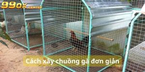 cách xây chuồng gà đơn giản