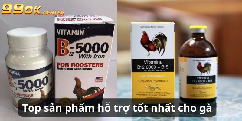 Top sản phẩm hỗ trợ tốt nhất cho chiến kê