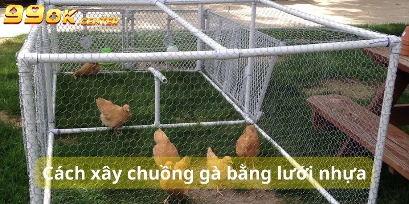 Chỗ ở bằng lưới nhựa khá sạch sẽ, dễ vệ sinh và ít tốn kinh phí